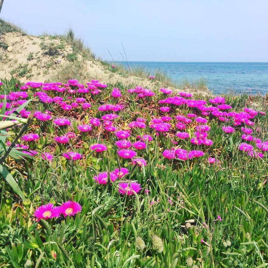 Salento Appartamenti กาซาลาบาเต ภายนอก รูปภาพ